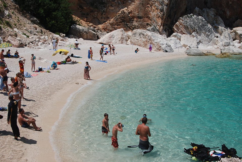 1002089_10201205500241024_406621776_n