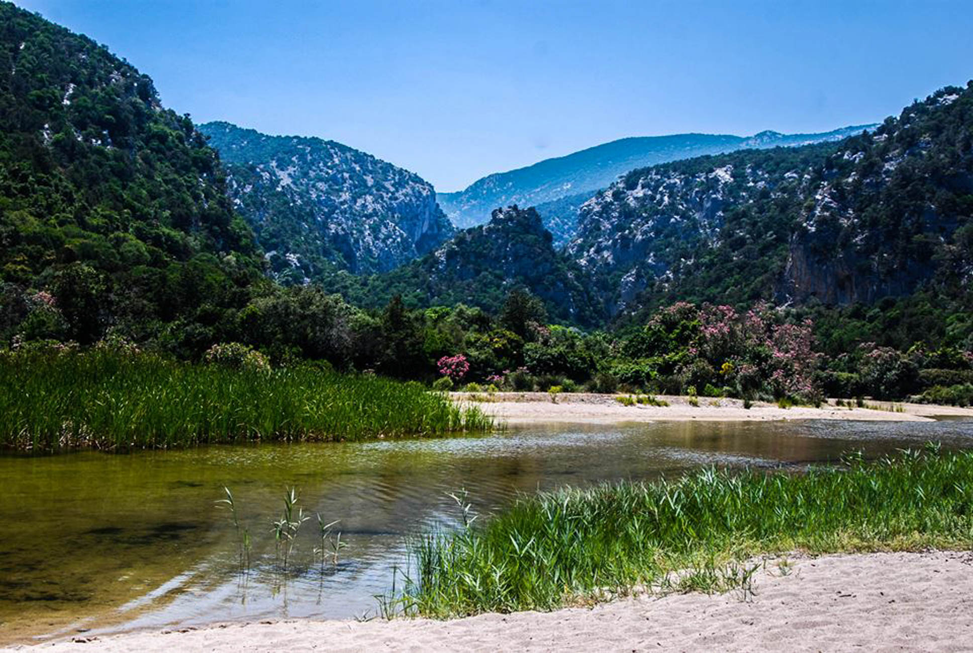 936437_10201278462905045_2052039209_n