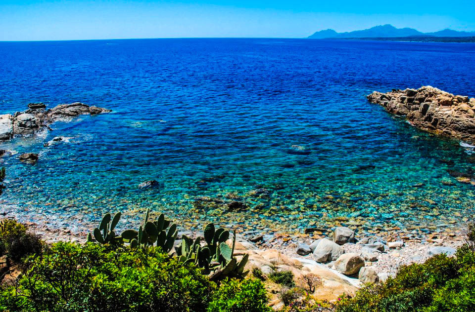 969590_10200979145022285_331094665_n