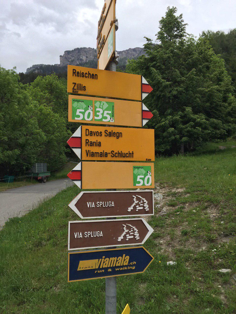 photo_2019-06-14_20-16-01