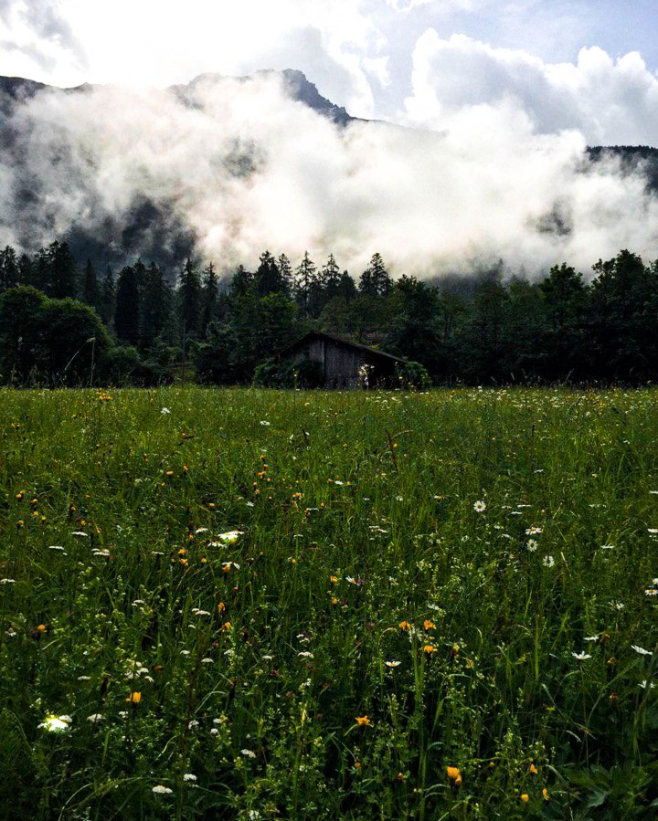 photo_2019-06-14_20-16-31