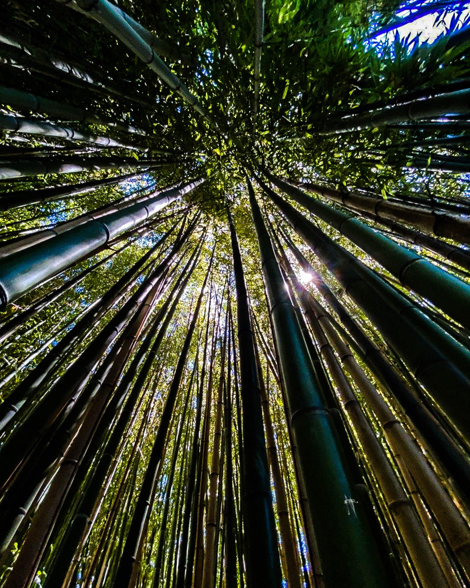 photo_2020-07-11_10-08-29