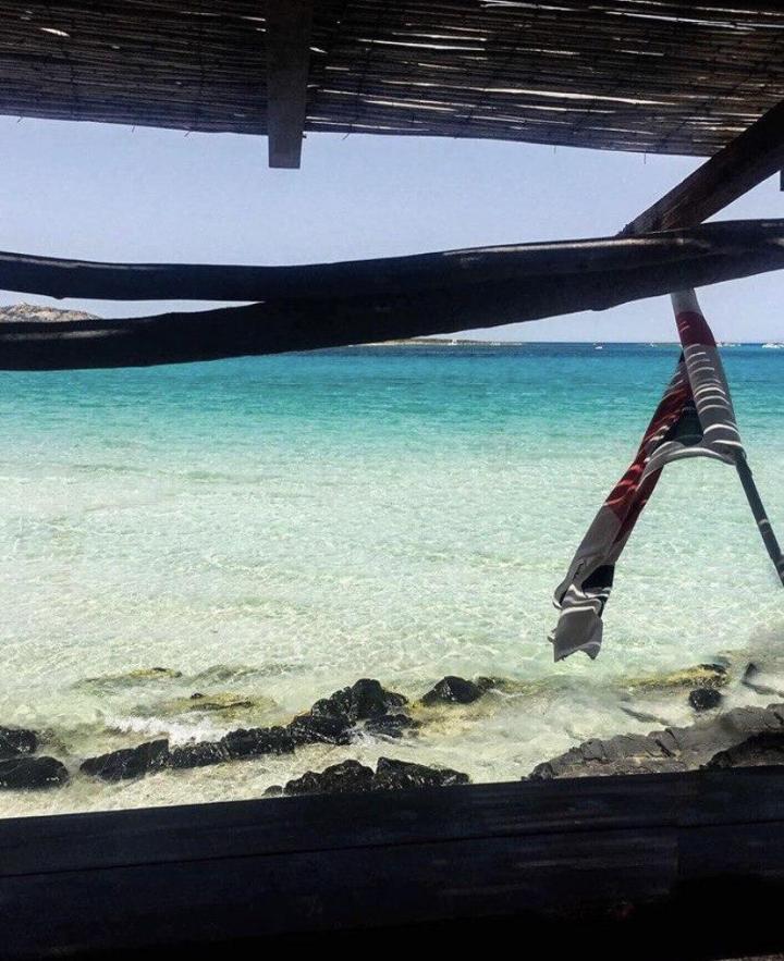 photo_2020-08-02_17-18-35